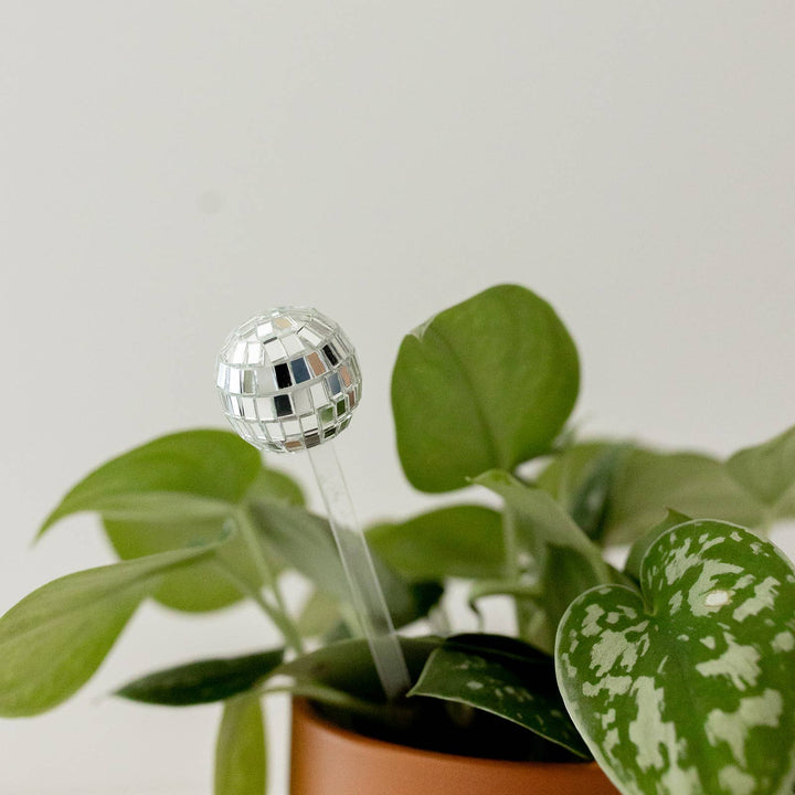 Disco ball plant stick: Plastic Free - Pretty by Her - handmade locally in Cambridge, Ontario