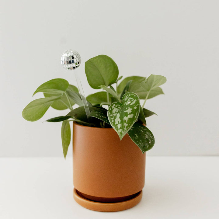 Disco ball plant stick: Plastic Free - Pretty by Her - handmade locally in Cambridge, Ontario