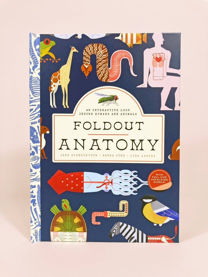 Foldout Anatomy (Interactive Children's Book) - Pretty by Her - handmade locally in Cambridge, Ontario