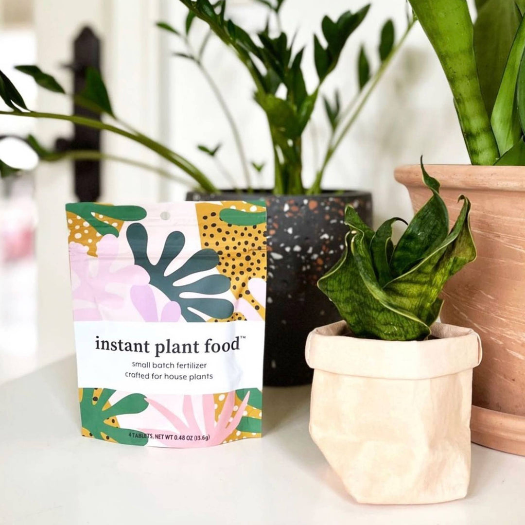 Instant Plant Food (4 Tablet) for Houseplants - Pretty by Her - handmade locally in Cambridge, Ontario