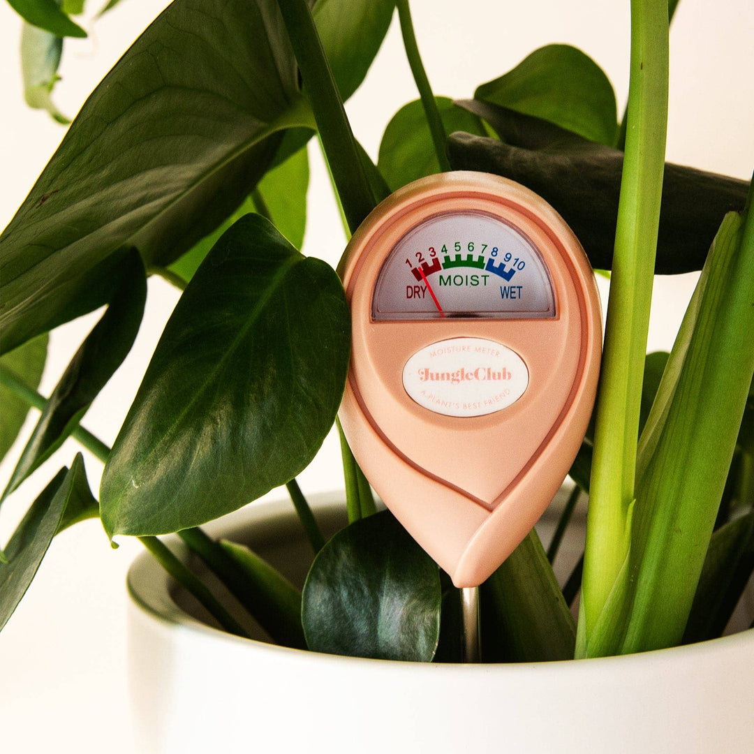 Moisture Meter | Pink - Pretty by Her - handmade locally in Cambridge, Ontario