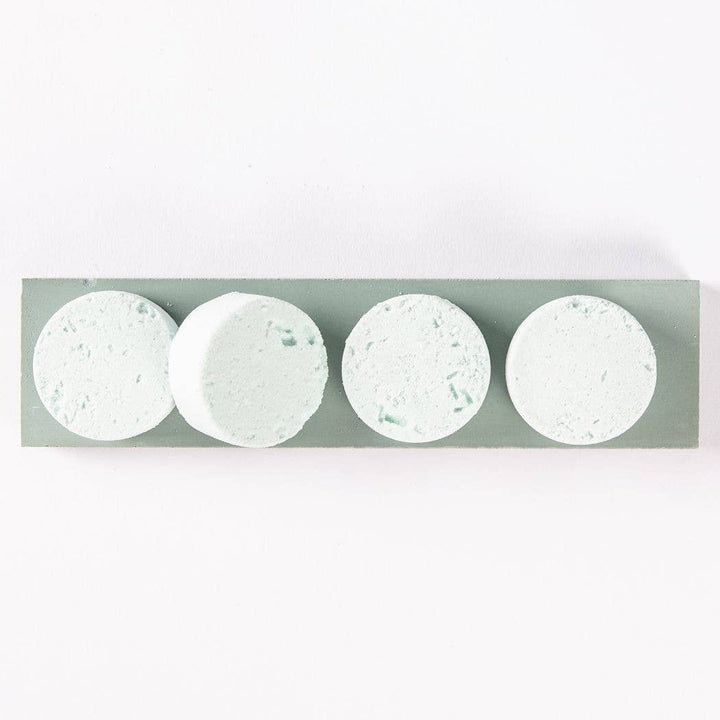 Shower Steamers | Eucalyptus | 4 pack gift set: Eucalyptus - Pretty by Her - handmade locally in Cambridge, Ontario