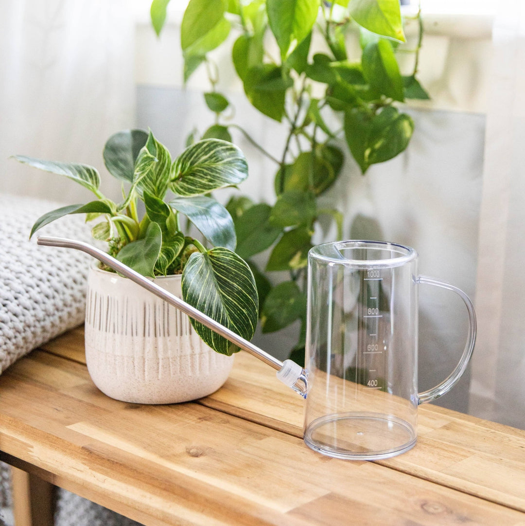 Simply the Best Houseplant Watering Can - Pretty by Her - handmade locally in Cambridge, Ontario