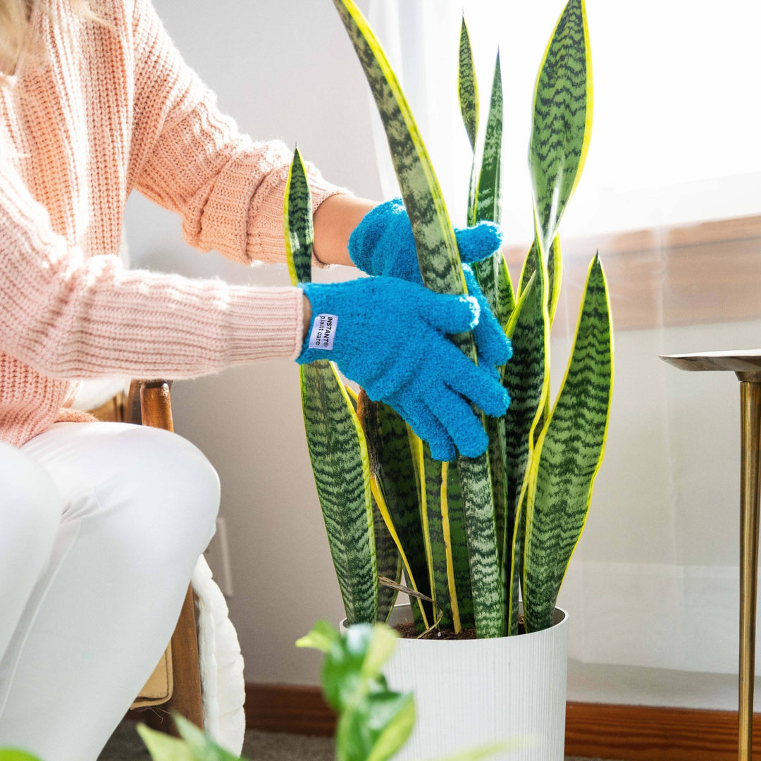 Simply the Best Micro - Fiber Gloves For Cleaning Houseplants - Pretty by Her - handmade locally in Cambridge, Ontario